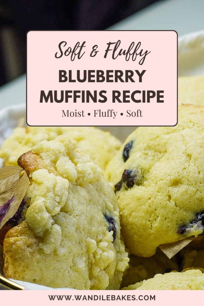 The Best Blueberry Muffins recipe You ever need blueberry muffins recipe blog