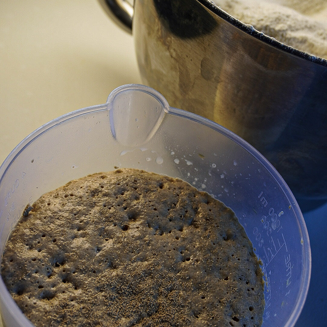 Soft Biscoff Cinnamon Rolls with Cream Cheese Frosting yeast fermentation