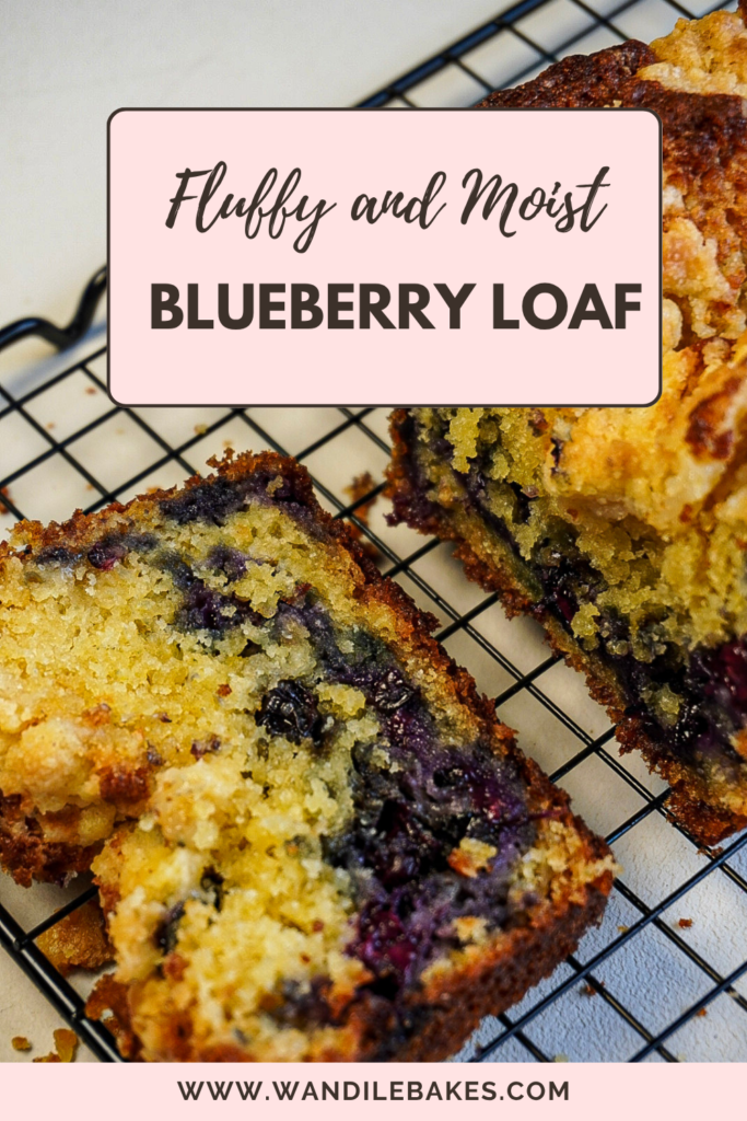 Blueberry Lemon Loaf Recipe (Moist, Easy & No Mixer Needed) 1