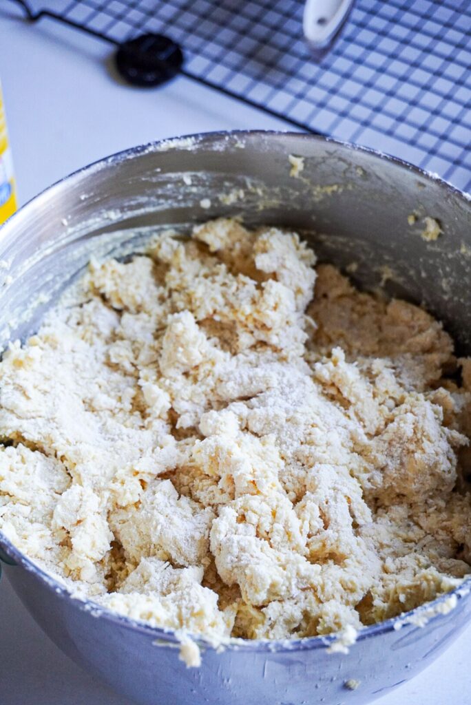 Easy Coconut Custard Scones Recipe (Made with Amasi) dough