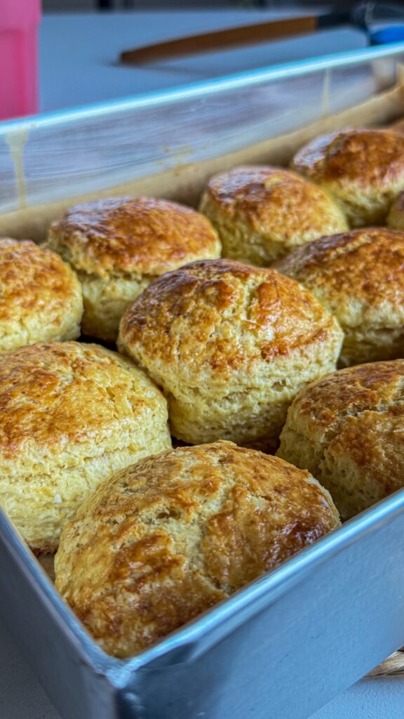 Easy Coconut Custard Scones Recipe (Made with Amasi) baked scones