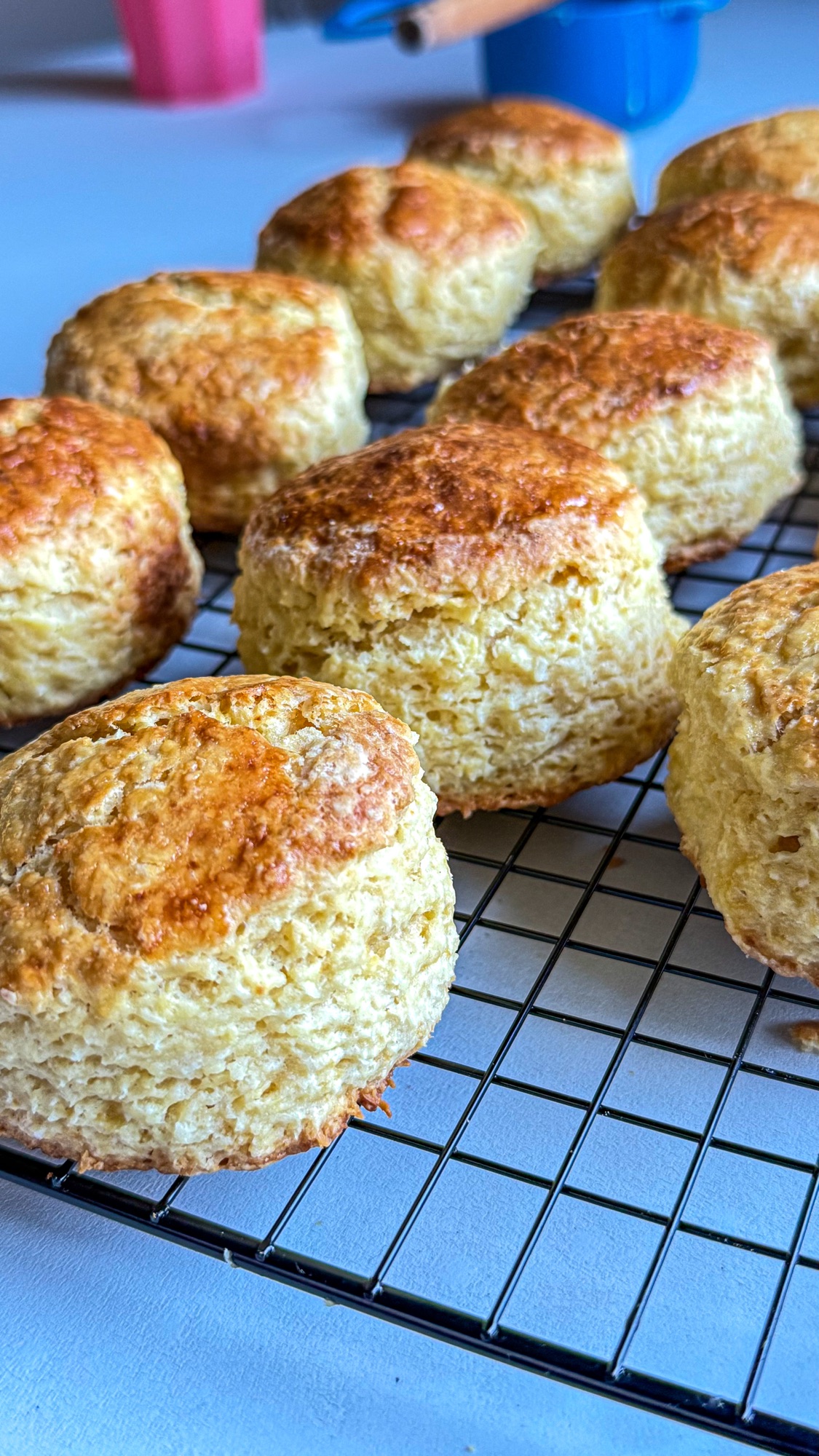 Easy Coconut Custard Scones Recipe (Made with Amasi) img 4234.jpg
