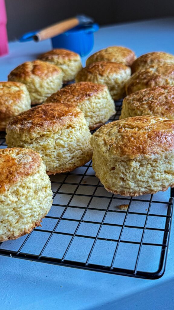 Easy Coconut Custard Scones Recipe (Made with Amasi) scones