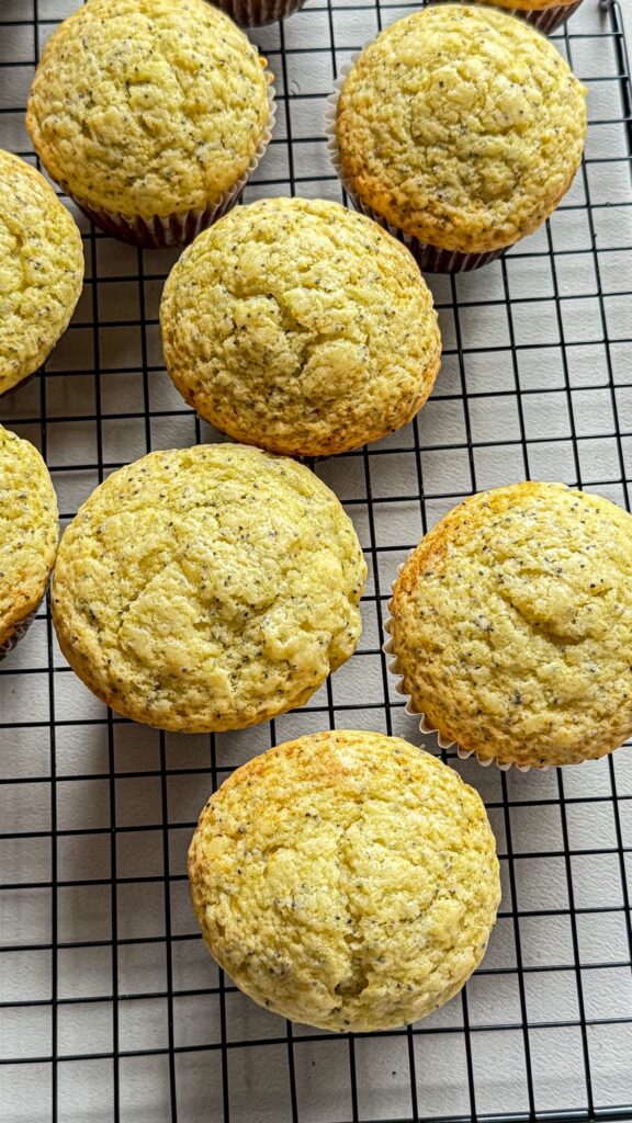 baked muffins