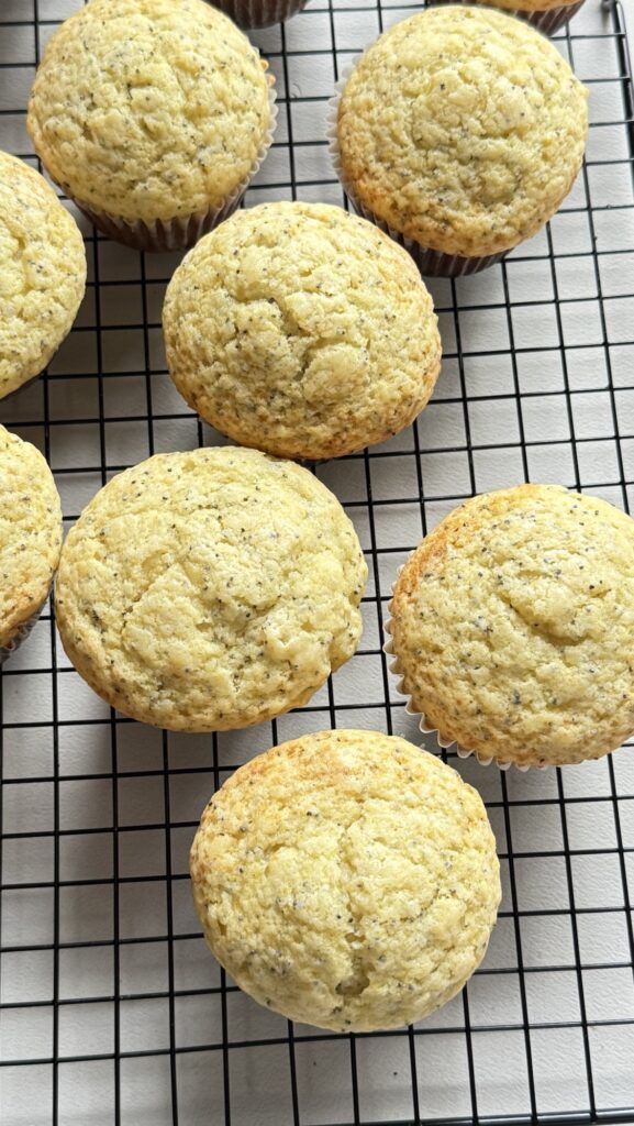 muffins